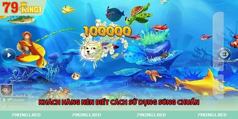 Khách hàng nên biết cách sử dụng súng chuẩn